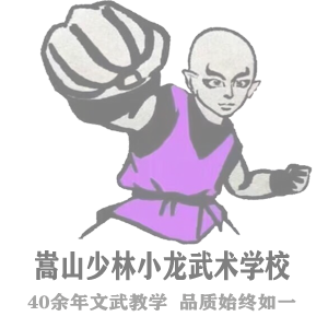 河南嵩山少林小龙武校2026年学费招生标准全解析