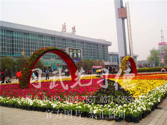 少林小龙武院