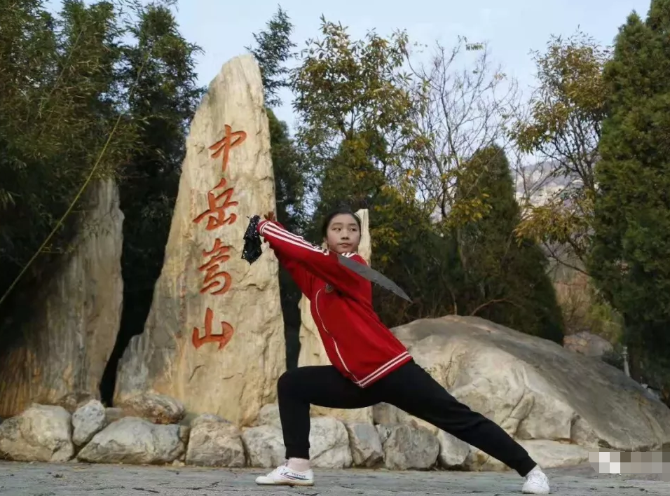 把孩子送到河南小龙少林武校学费要多少钱？在河南学武术去哪家武校好？