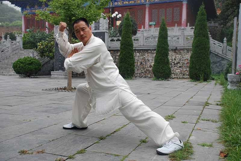 陈同川-少林小龙武院总教练