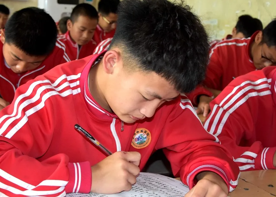 河南嵩山小龙少林武术学校是以练武术为主吗？