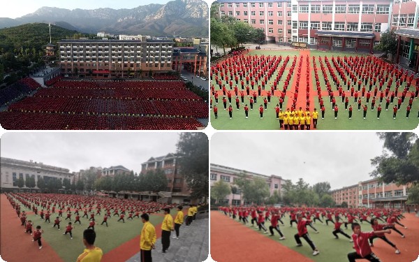 河南嵩山小龙少林学校属于公办还是私办？