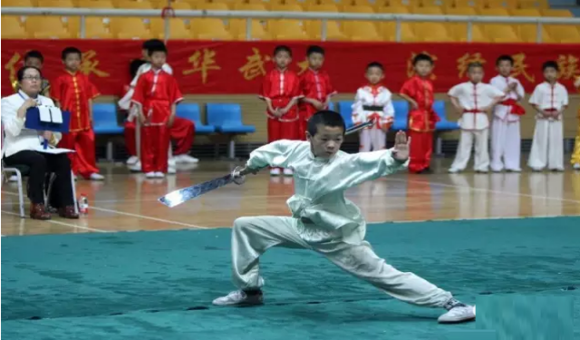 河南嵩山小龙少林武术学校收费标准是怎样的？一年多少钱？