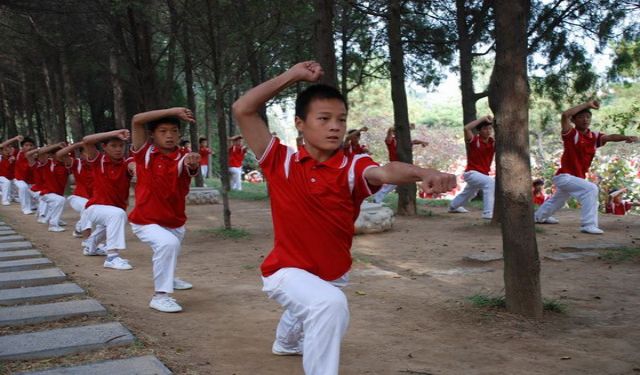嵩山少林武校全年收费是多少？比较正规的学武术一般学费多少？