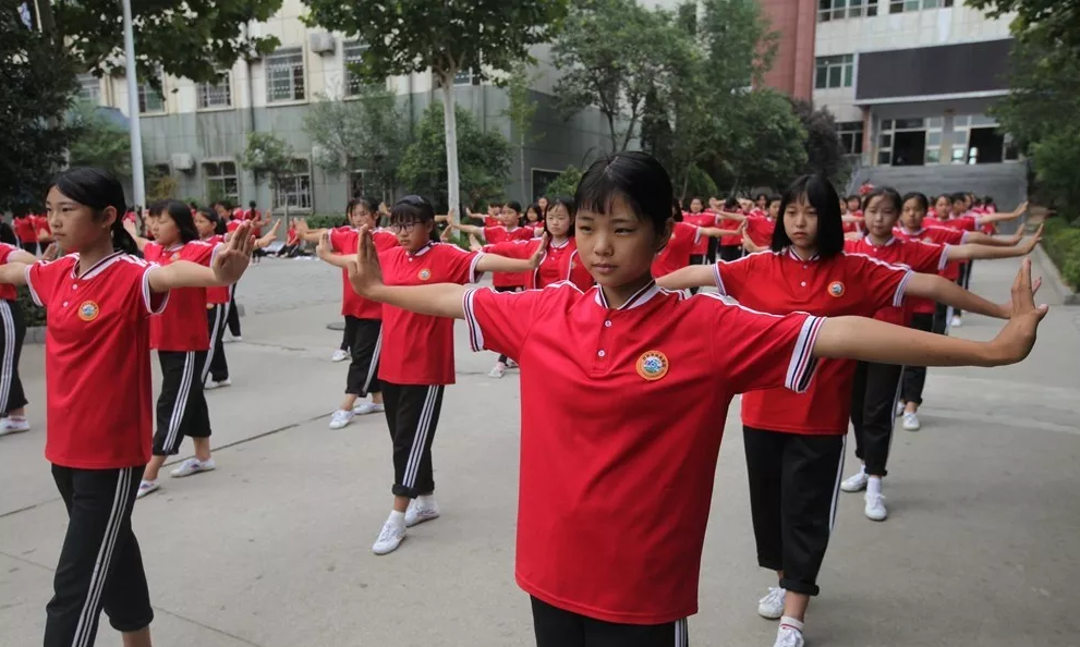 嵩山少林武术学校的正规学校吗