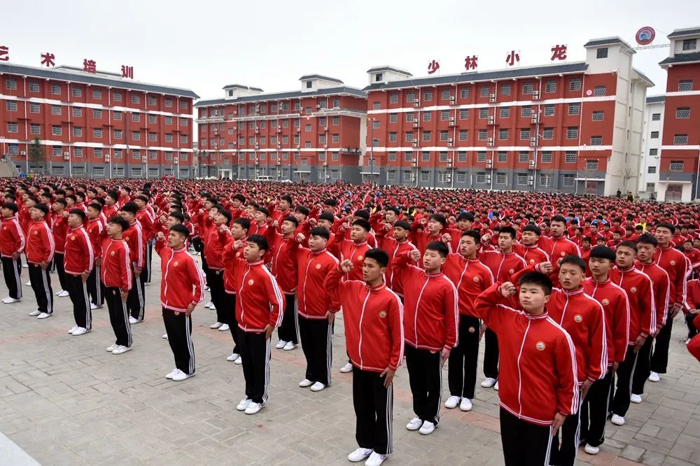 少林小龙武术学校报名要求是什么？-全国各地统一招生