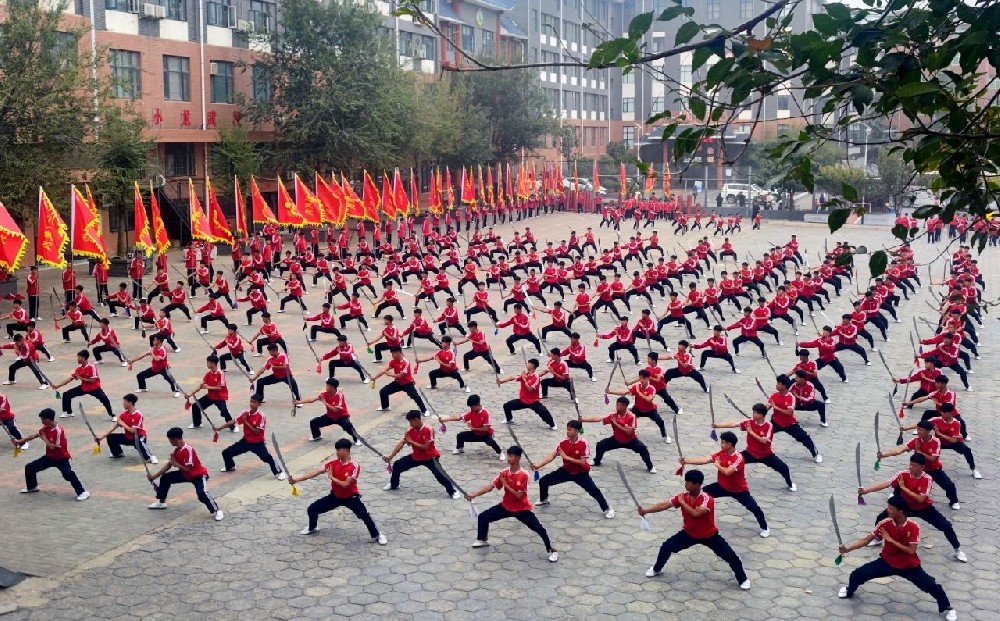 河南武校那个正规?少林小龙武校传承武术精髓，培育未来之星