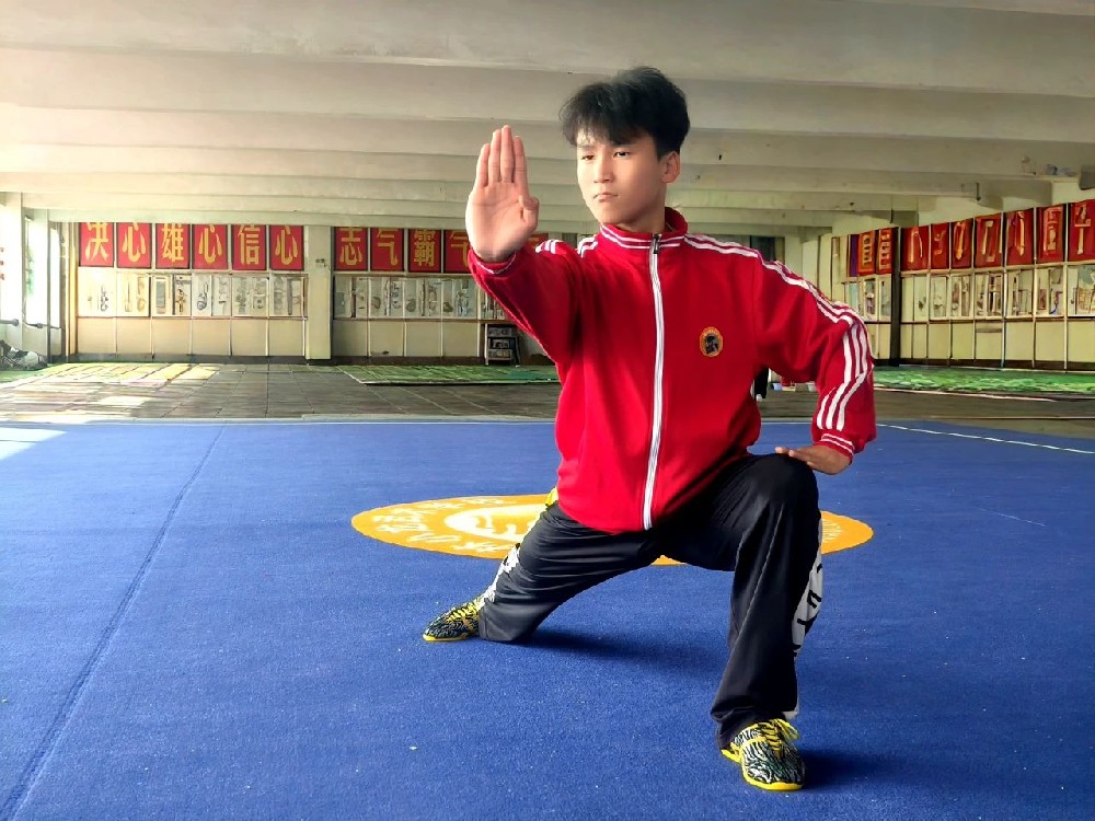 河南少林学校招生要求？河南少林小龙武校一年多少费用