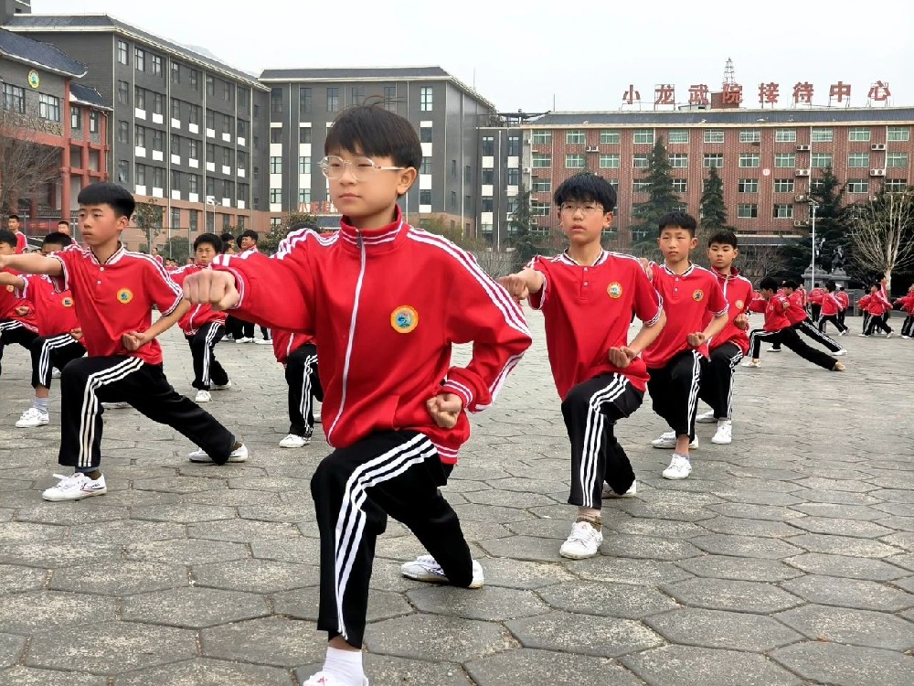 少林小龙武术学院学员毕业去向