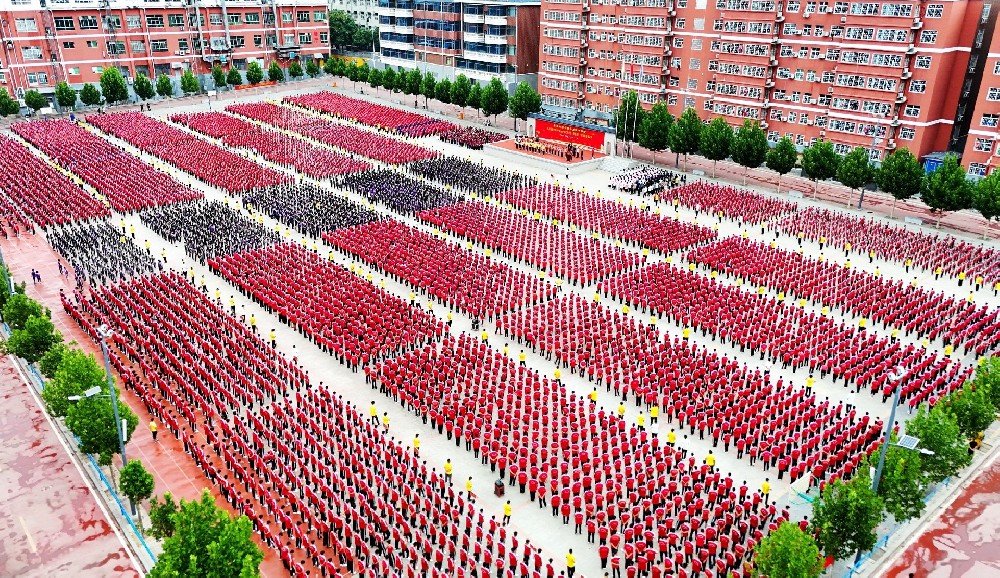 登封小龙少林武术学校费用是多少：透明收费，开启文武双修的卓越之旅