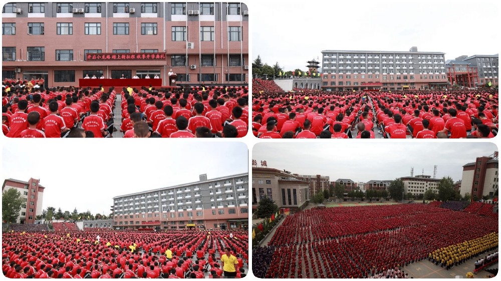少林小龙武术学校毕业包分配吗？