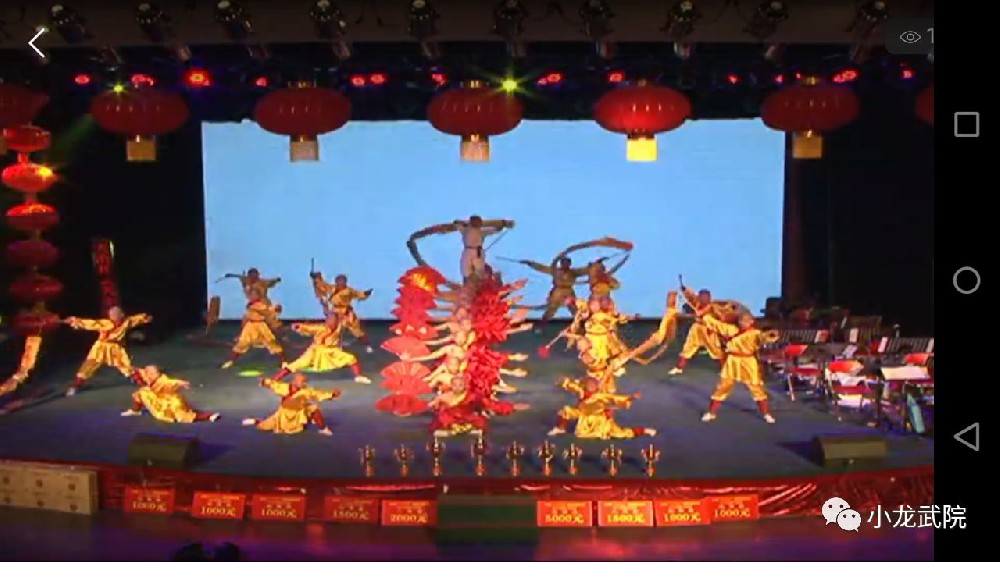 少林小龙武院功夫表演助阵《天中艺苑》戏曲电视擂台赛