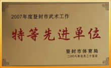 登封武术工作先进单位