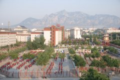 河南小龙少林武校为何好评如潮