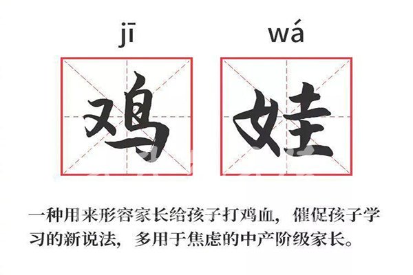 热播剧《小舍得》引发教育焦虑，究竟怎样才算成才？